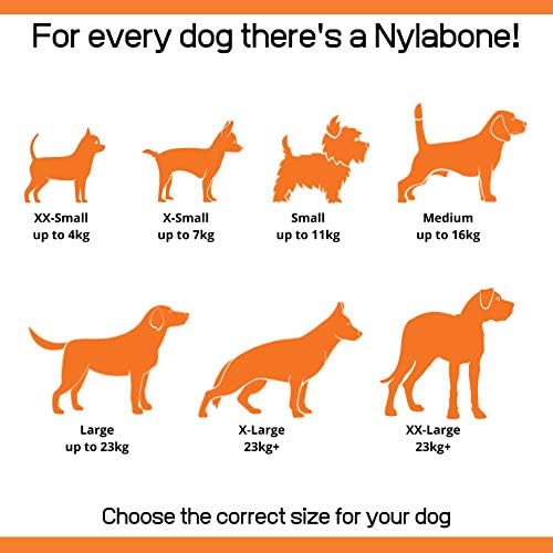 Nylabone Extreme Tough Dog Chew Toy X-Bone, Durable, Cleans Teeth, Beef Flavour, Large, for Dogs Up to 23 kg