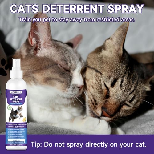 Cat Repellent Spray, 200ml Cat Deterrent Spray Indoor, Anti-Scratch Cat Spray for Scratching, Natural Cat Deterrent Spray for Cats Kittens Training Aid, Protects Furniture for Outdoor Garden