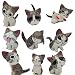 Kimkoala Chi Cat Toys, 9 Pcs Japanese Cute Chi's Sweet Home Cats Dolls Animal Figures Collection Toy Set For Miniature Garden Decoration(Gray)