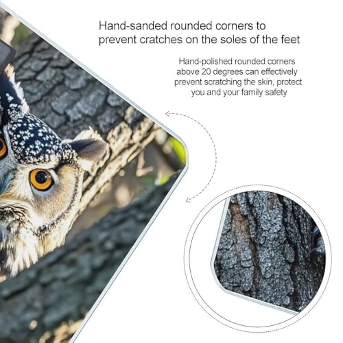 Báscula Digital de Baño Wild Owl Birds con Plataforma Ultra Ancha miniatura 4