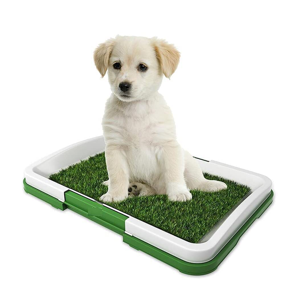 SHOPECOM (1.pc Dog) cat Grass Pad Artificial Portable Breathable Plastic Puppy Potty Mat with Tray Lawn Trainer Pee Patch Home. 2