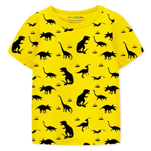 Image of Trampoline Boys Pack of 2 T-Shirt and Shorts Set - Dinosaur & Tiger Print