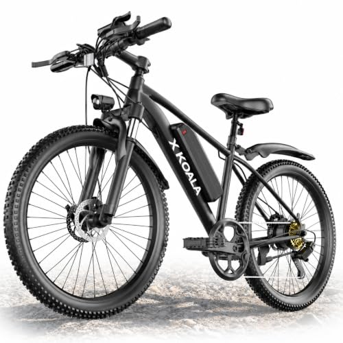 Adults Electric Bike 1500W Peak Motor 26" Mountain Ebike Electric Bicycle