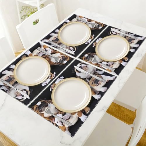 Set de table bouledogue lavable pour protéger la table des taches