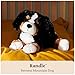 GUND Randle Bernese Mountain Dog, Premium Stuffed Animal Plush for Ages 1 and Up, Black/Brown, 13”