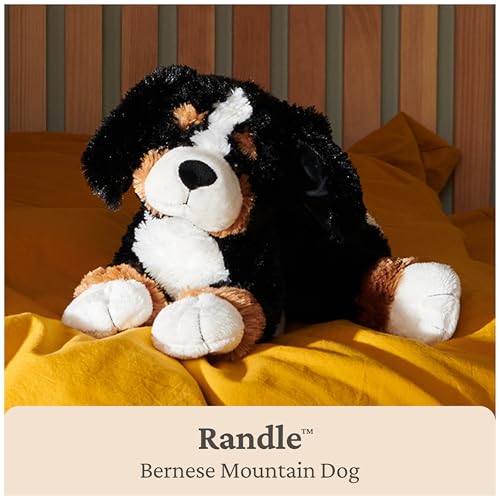 GUND Randle 13-Inch Bernese Mountain Dog Stuffed Animal for Ages 0+ - image 3