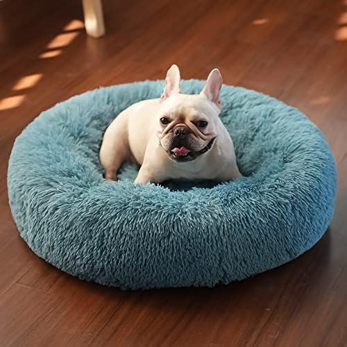 Are Dog Beds Safe For Puppies