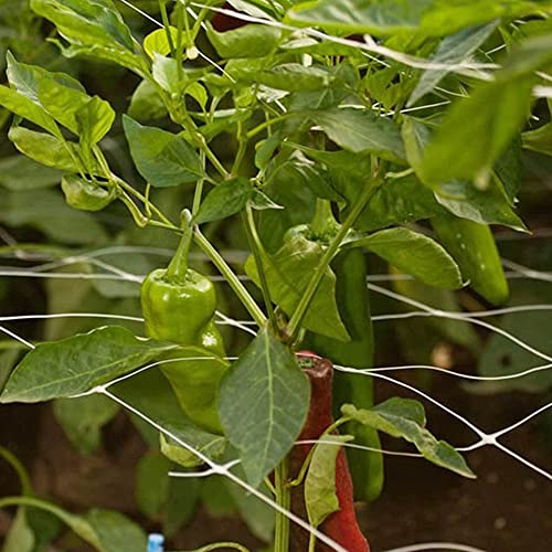 Castlegreens Trellis Netting, 4 Ft X 330 Ft- Garden Netting For Climbing Plants, Fruits And Vegetables, Heavy-Duty Plastic Trellis Net, Hydroponic Grow Net, Easy To Use, 1-Pack #TOP3