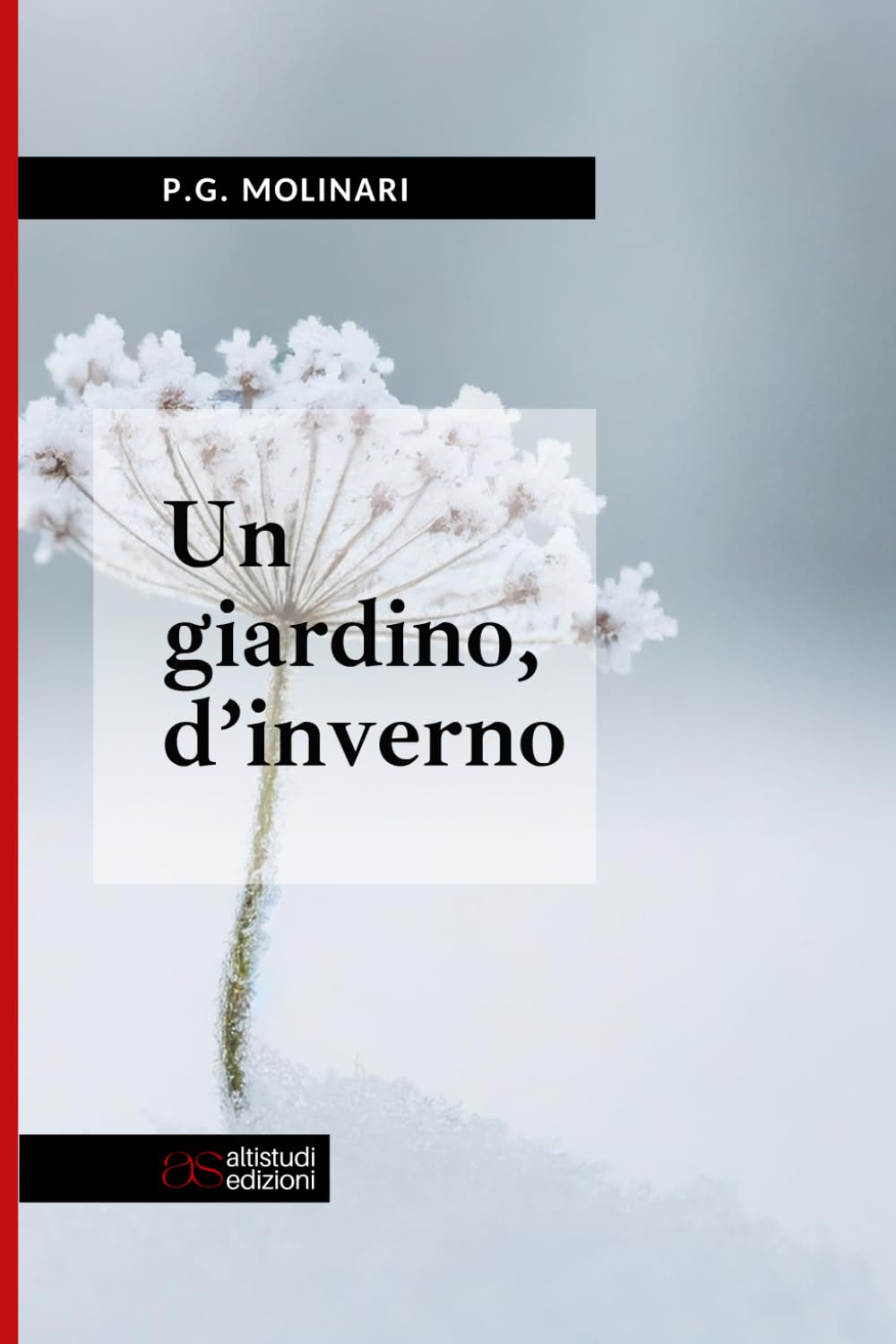 Un giardino, d'inverno