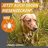 FRONTPRO Hund M - Kautablette gegen Zecken & Flöhe (Hunde 4 bis 10 kg) - 3X Kautabletten für 3 Monate Zecken- und Flohschutz