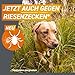 FRONTPRO Hund M - Kautablette gegen Zecken & Flöhe (Hunde 4 bis 10 kg) - 3X Kautabletten für 3 Monate Zecken- und Flohschutz