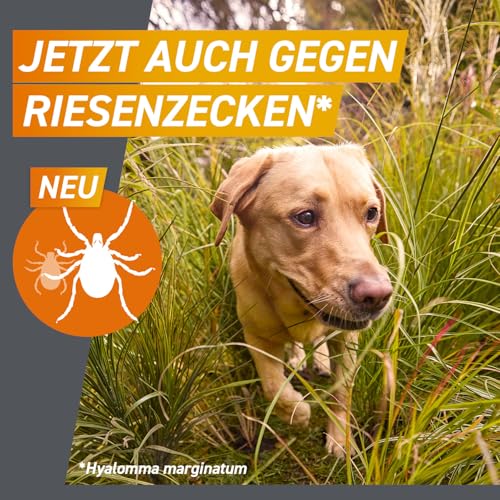 FRONTPRO Hund M - Kautablette gegen Zecken & Flöhe (Hunde 4 bis 10 kg) - 3X Kautabletten für 3 Monate Zecken- und Flohschutz