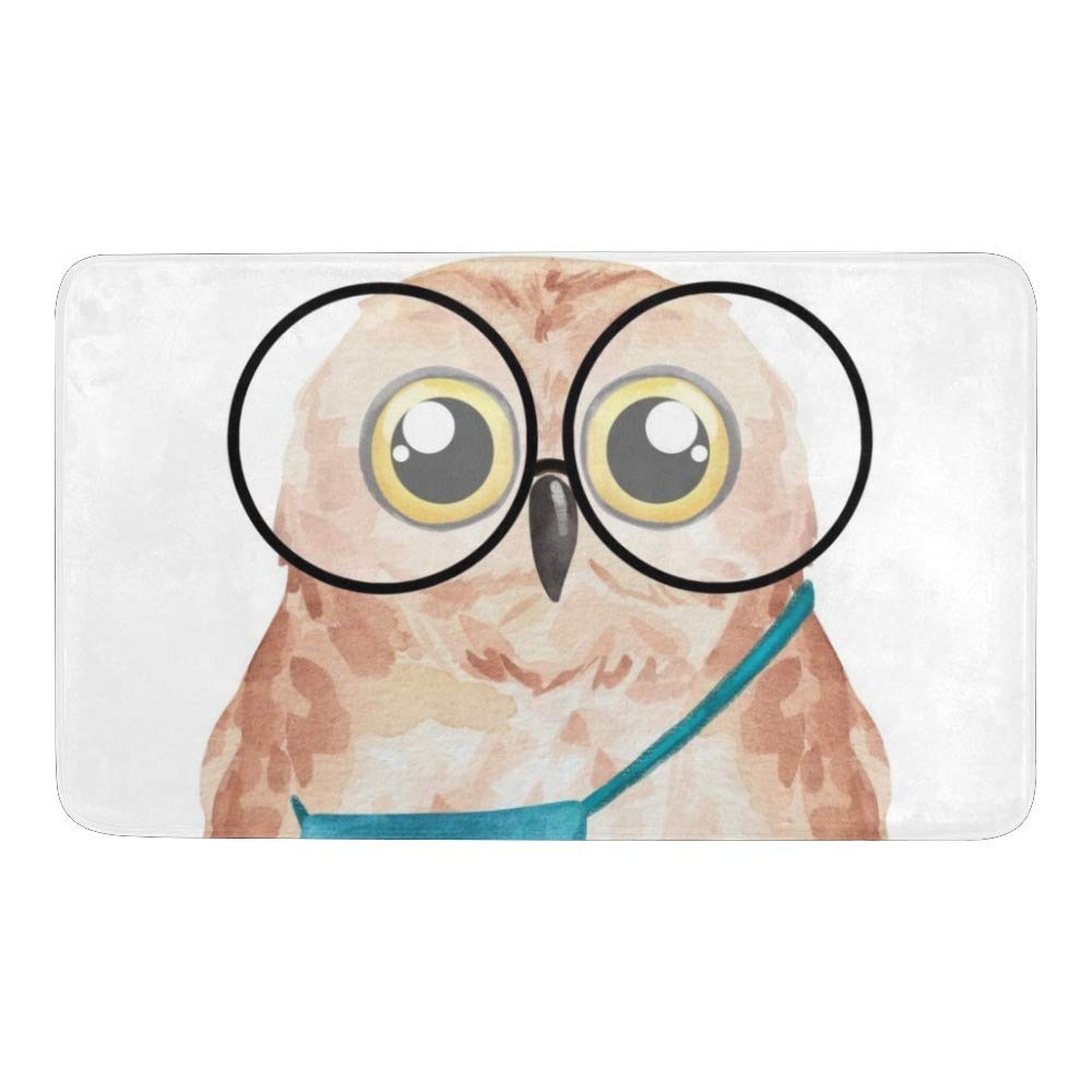 Doormats Indoor Outdoor Doormat Non-Slip Backing Ultra Absorbent Mud Watercolor Hipster Owl Door Mat Home Office Decorative Entry Rug Garden Kitchen Mats 23.6 x15.7 Inch