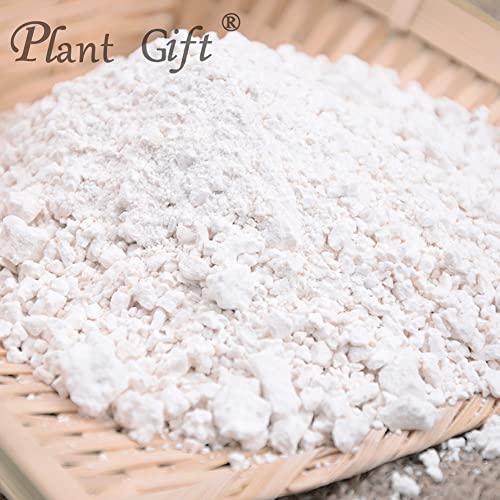 Plant Gift 100% Sweet Potato Powder 100G/3.25oz 红薯粉, Non-GMO, kein Füllstoff, keine Zusatzstoffe, natürliche Süßkartoffel-Mehl, bester Geschmack zum Backen, verleiht Geschmack und Aroma.