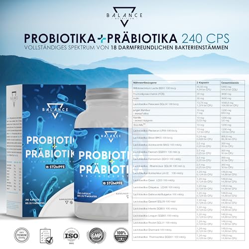 PROBIOTIKA UND PRÄBIOTIKA - 240 KAPSELN | Probiotika Kapseln | Probiona Kulturen Komplex Kapseln | Präbiotika, Verdauungsenzyme + Inulin | Flora Aufbau | Bis zu 20 Mrd KbE