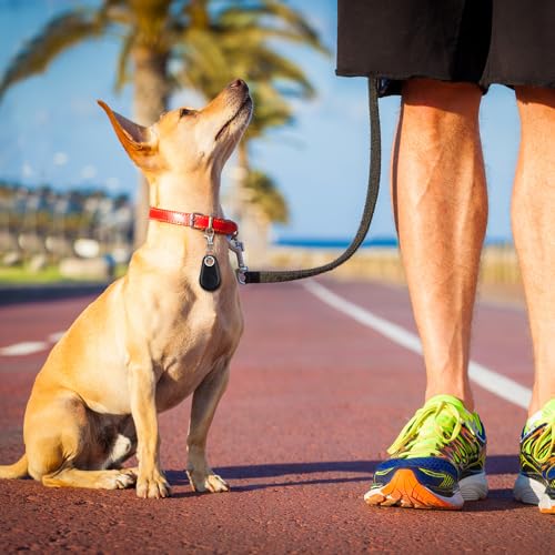 Flutesan 8 Packs Portable GPS Tracking Mobile Tracking Anti Loss Smart Device Key Finder Locator GPS Tracker Device for Pets Dog Cat Wallet Keychain Luggage, Alarm Reminder(Black, White, Gray) - Image 7