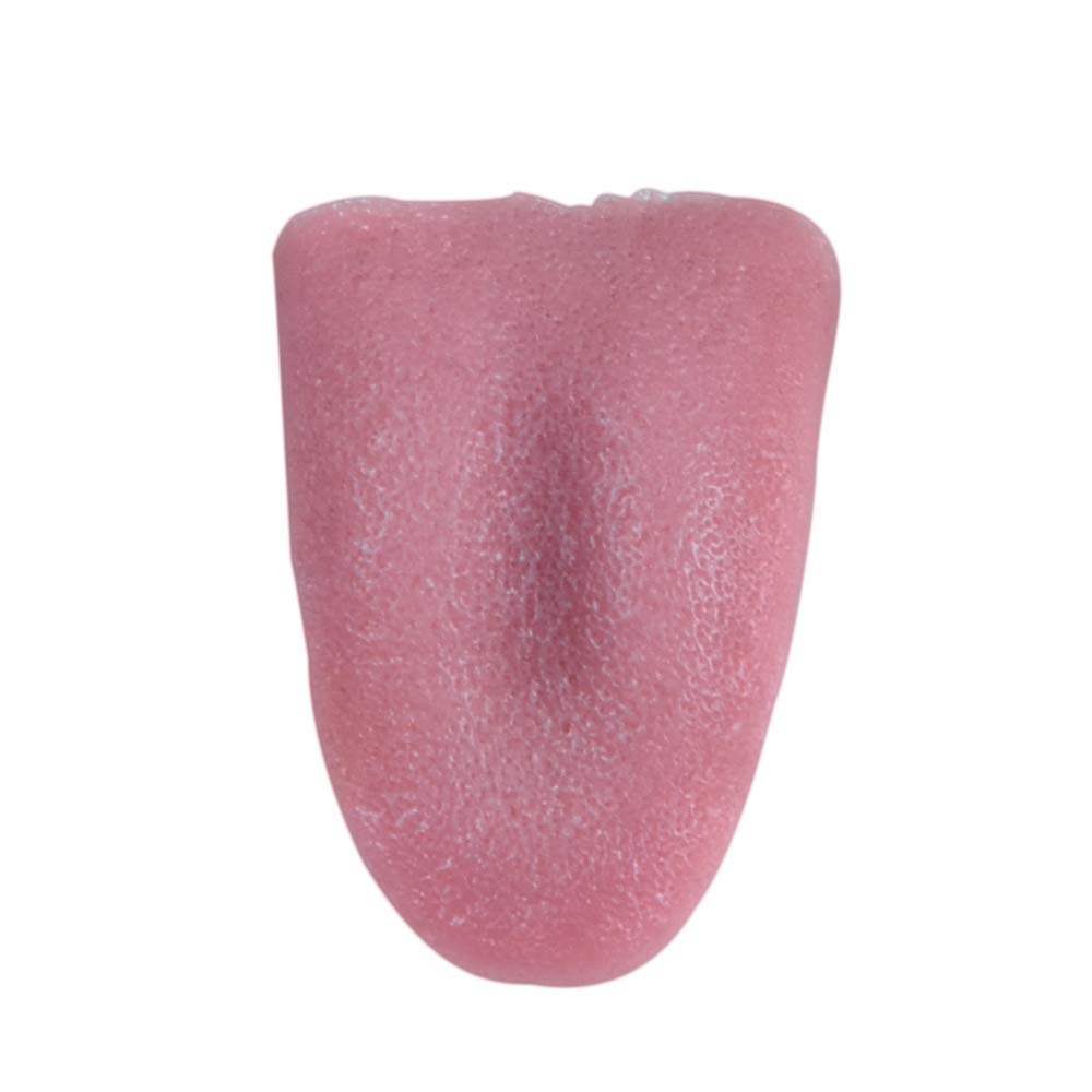 2 Pcs Horrible Stretchable Realistic Magic Tongue Fake Tongue Specially Function for Halloween /Close-up Terror Magic Trick Comedy Magic Trick Accessories Props
