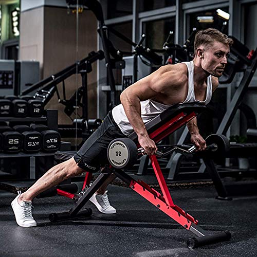 pelpo Adjustable Weight Bench for Strength Training, Foldable Full Body Workout Bench for Home Gym Bench Press, Gray Frame