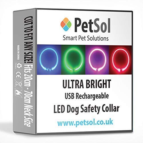 petsol led collar