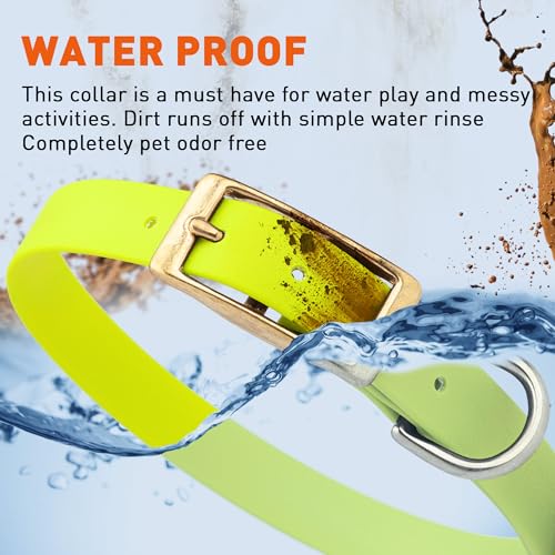 Image of Viper Biothane Heavy Duty Waterproof Dog Collar Strong Coated Nylon Webbing w /Solid Brass Hardware Odor-Proof Easy to Clean High Performance Fits Small Medium or Large Dogs, Safety Yellow