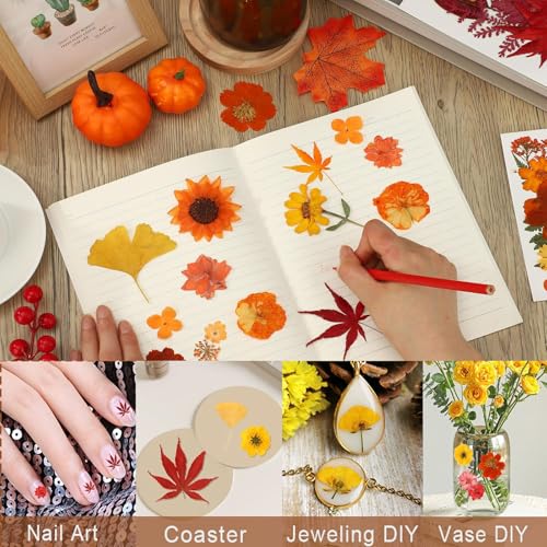 Flores prensadas secas otoño para manualidades 103 piezas miniatura 5