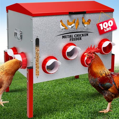 Automatic Chicken Feeder 100LBS Large Capacity, 12 Anti-Waste Ports Metal Poultry Feeder with Height Adjustable Stand, Waterproof Rodent Proof Feed Box with Lid Viewing Window for Hens Ducks Geese