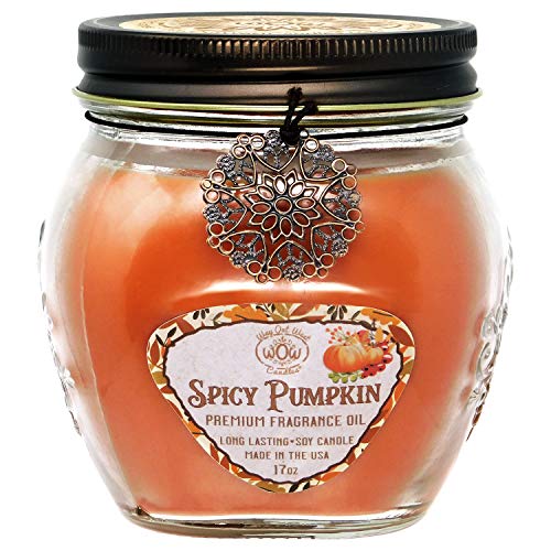 Way Out West Spicy Pumpkin Jar Candle - Large 17 Ounce - Fragrant & Long Lasting Soy Wax - Perfect Fall Candle - Smells Like Moms Pumpkin Pie - Great Housewarming Gift - Handmade in USA
