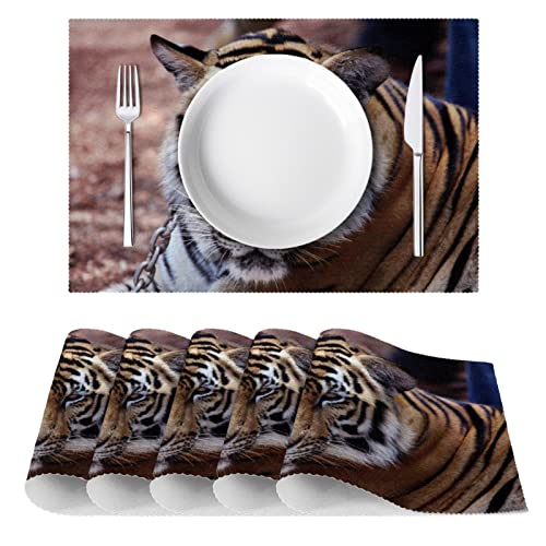 Set de table tigre asiatique résistant chaleur table à manger