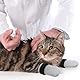 UKCOCO Anti-Kratz-Schuhe Für Katzen – Verstellbare Katzenschuhe Zum Kratzen Von Polyester-Katzenpfotenschutz Katzen-Anti-Rutsch-Sockenschuhe Für Die Körperkontrolle Nagelschneiden
