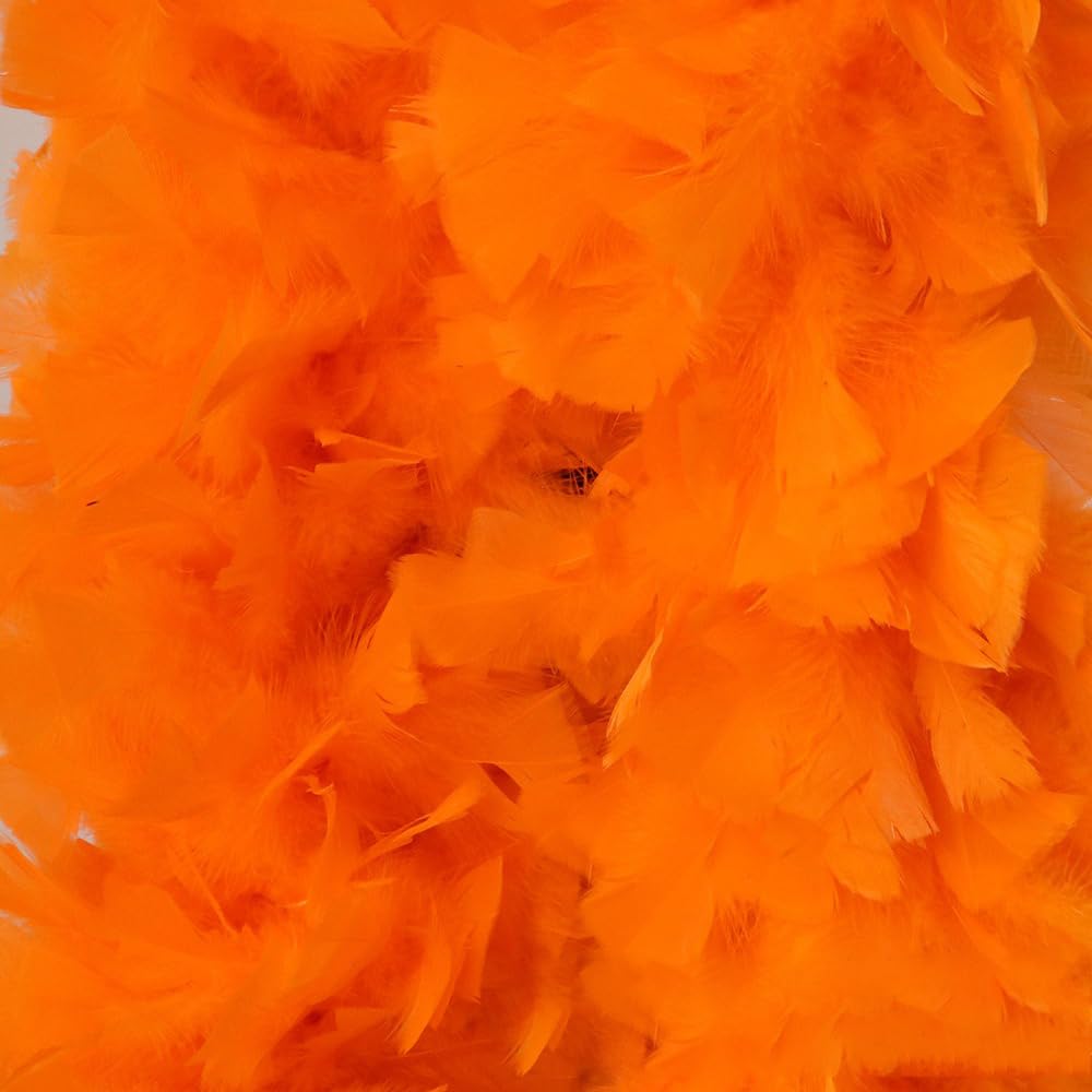 Boa à plumes tendance unisexe pour accessoire de costume, longueur : environ 2 m, costume et accessoires de bricolage, écharpe à plumes pour mariage, carnaval, Halloween, cosplay, Noël,