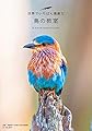 世界でいちばん素敵な鳥の教室 (世界でいちばん素敵な教室)