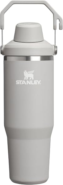 Stanley IceFlow 2.0 Fast Flow Tumbler with Handle| Twist On Angled Spout Lid | Leakproof Water Bottle | Insulated Stainl