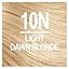 10N Light Dawn Blonde
