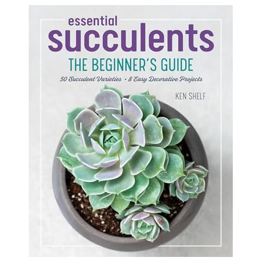 Essential Succulents: The Beginner's Guide