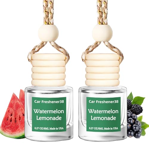 Image of Hanging Car Air Freshener, Long Lasting Essential Oil Diffuser, Non-Toxic New Car Scent, Cute Car Fresheners for Women, 2 Pack Made in USA