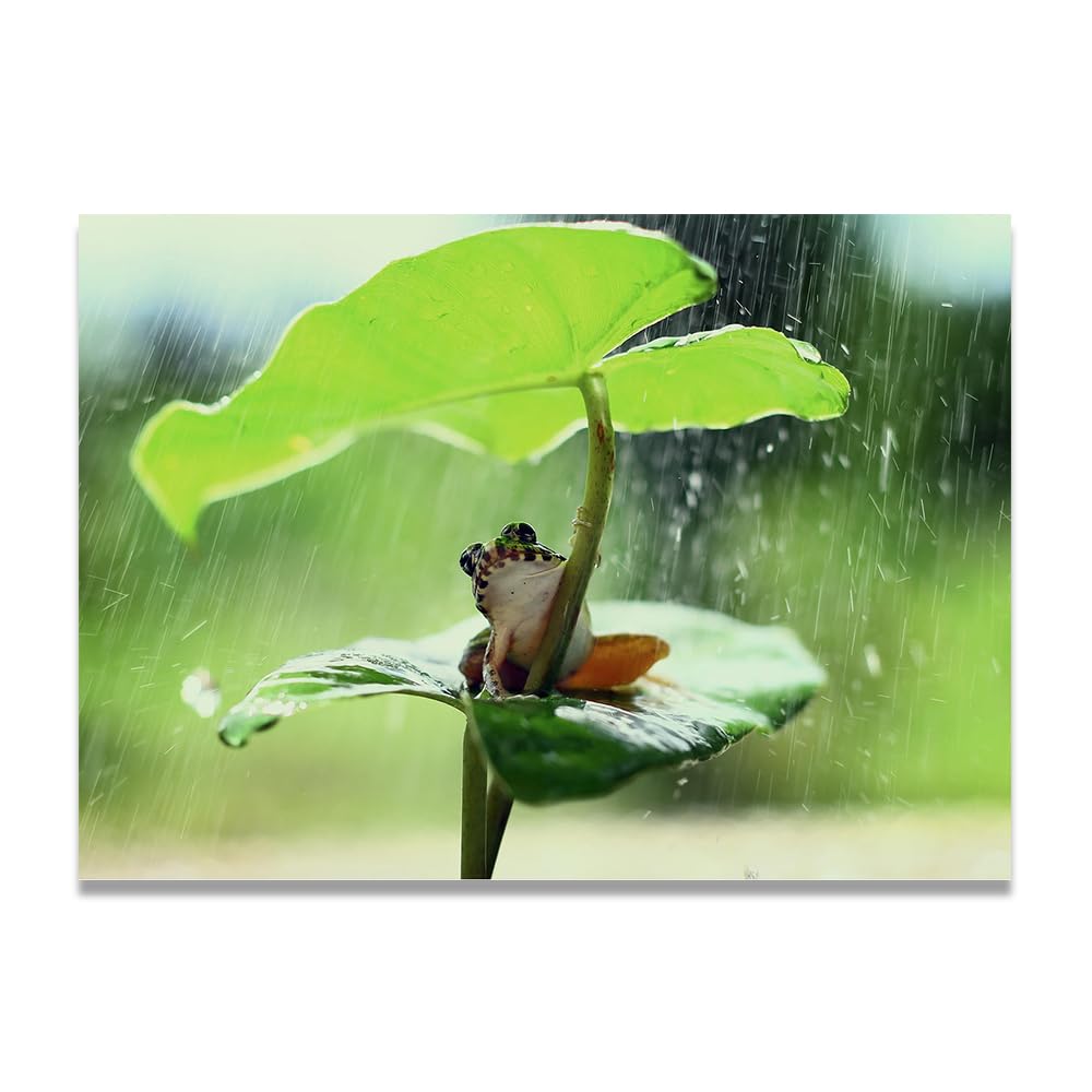VHdfgTY Shelter From The Wind And RainLarge Mountain Landscape Canvas Wall Art Nature Scenery for Home Decor 50x70cm Unframed