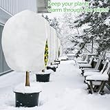 Zoom IMG-2 linsocle 2 pezzi 210 x Zoom IMG-2 linsocle 2 pezzi 210 x