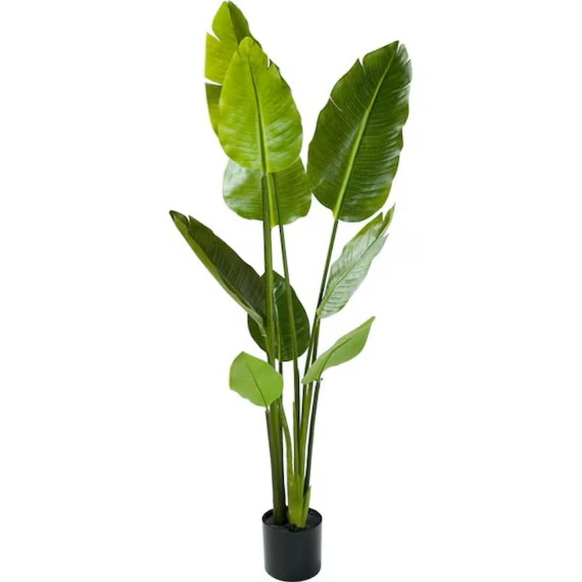 Amazon｜ニトリ(NITORI) フェイクグリーン トラベラーズパーム 130cm