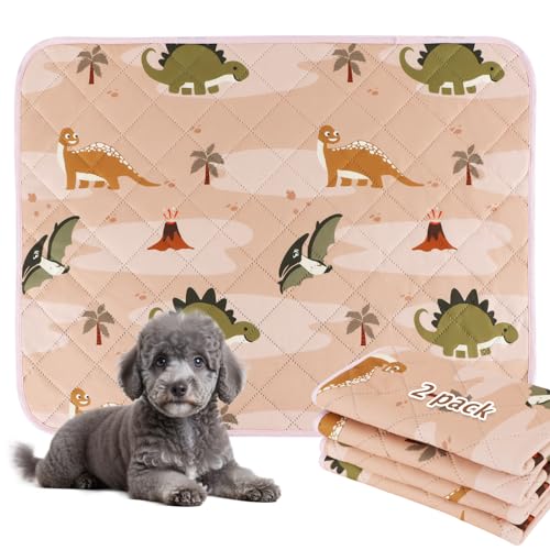 BVAGSS 2 Pezzi Tappetini Assorbenti per Cani, Tappeti Lavabili Riutilizzabili, Antiscivolo, Alta Assorbenza Addestramento traversine per cani XH081 (60x60cm,Pink Dinosaur)