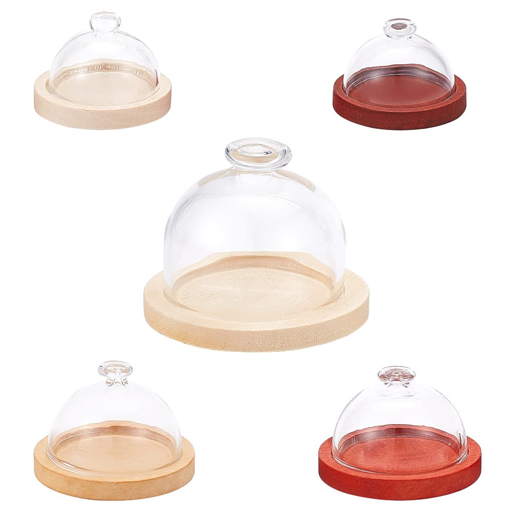 DELORIGIN 5 Pcs Mini Top Knob Glass Dome Cover Display Glass Dome with 5 Sizes Wooden Base Decorative Display Case for DIY Preserved Gift Home Decoration Centerpieces Plants Rocks Specimens Crafts