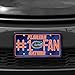 Rico Industries NCAA Florida Gators #1 Fan Metal License Plate Tag