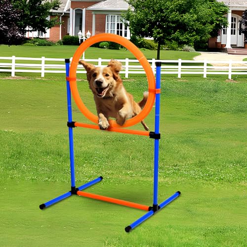 Bebegigi Dog Agility Equipment, 2 in 1 Dog Obstacle Course Training Starter Kit Adjustable Jump...