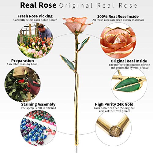 Image of 24K Gold Rose, Gold Dipped Rose Made from Real Rose Best Gifts for her and Great Gifts for Wife, Pink with Stand
