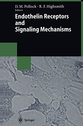 Endothelin Receptors and Signaling Mechanisms (Biotechnology Intelligence Unit) (English Edition)