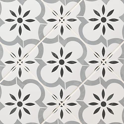 Msi AMZ-PT-00100 Azila 8 Inch X 8 Inch Encaustic Matte Porcelain Wall Tile For Bathroom, Floor Tile thumb #6
