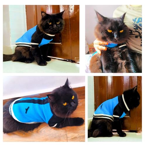 Image of Lulala Pet Puppy Clothes to Keep Warm in Autumn and Winter, Knitted Sweater, Teddy Poodle Clothes, Small Dogs Jacket Suitable for Pets (Blue, 8 Inch)
