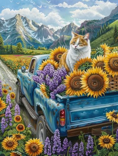 Peinture par numéro chat et voiture kit de toile acrylique 70x90cm