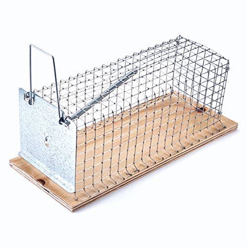 Swissinno 1 585 001W Classic - NASA para Ratas (Madera, Rectangular)