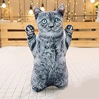 【新品激レア！入荷未定！】20471120ネコHyoma ぬいぐるみ旧タグ付き♪ 20471120 Hyoma's plush toy – WILDSTYLE RECORDS