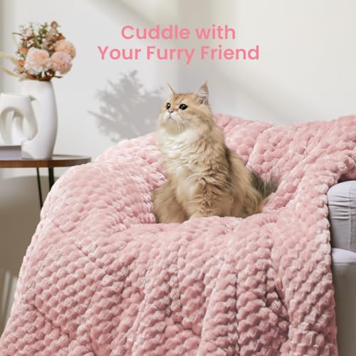 Image of Drewin Queen Size 20 lbs Weighted Blanket for Adults, Soft Fuzzy Jacquard Sherpa Weighted Blankets for Sleeping, Cozy Sofa Bed Blanket for Winter, Pink, 60 x 80 inches